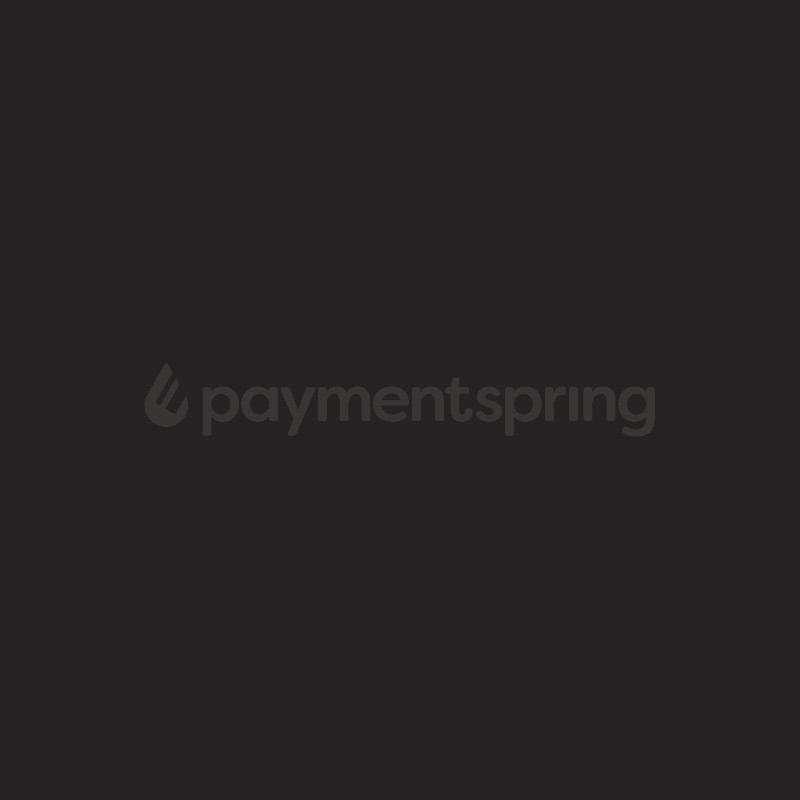 Payment Spring 3